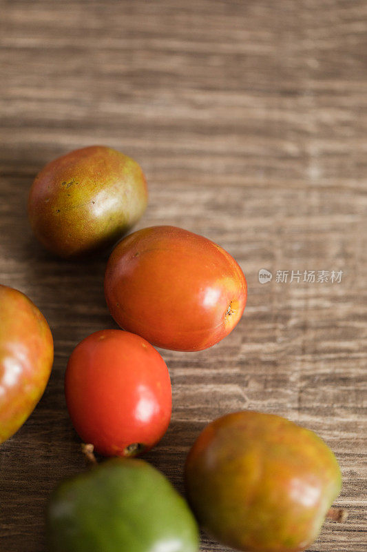 充满活力的红色，黄色和绿色紫Spondias Purpurea - Chiapas Mombin也被称为西班牙李子从一个后院的树在南佛罗里达